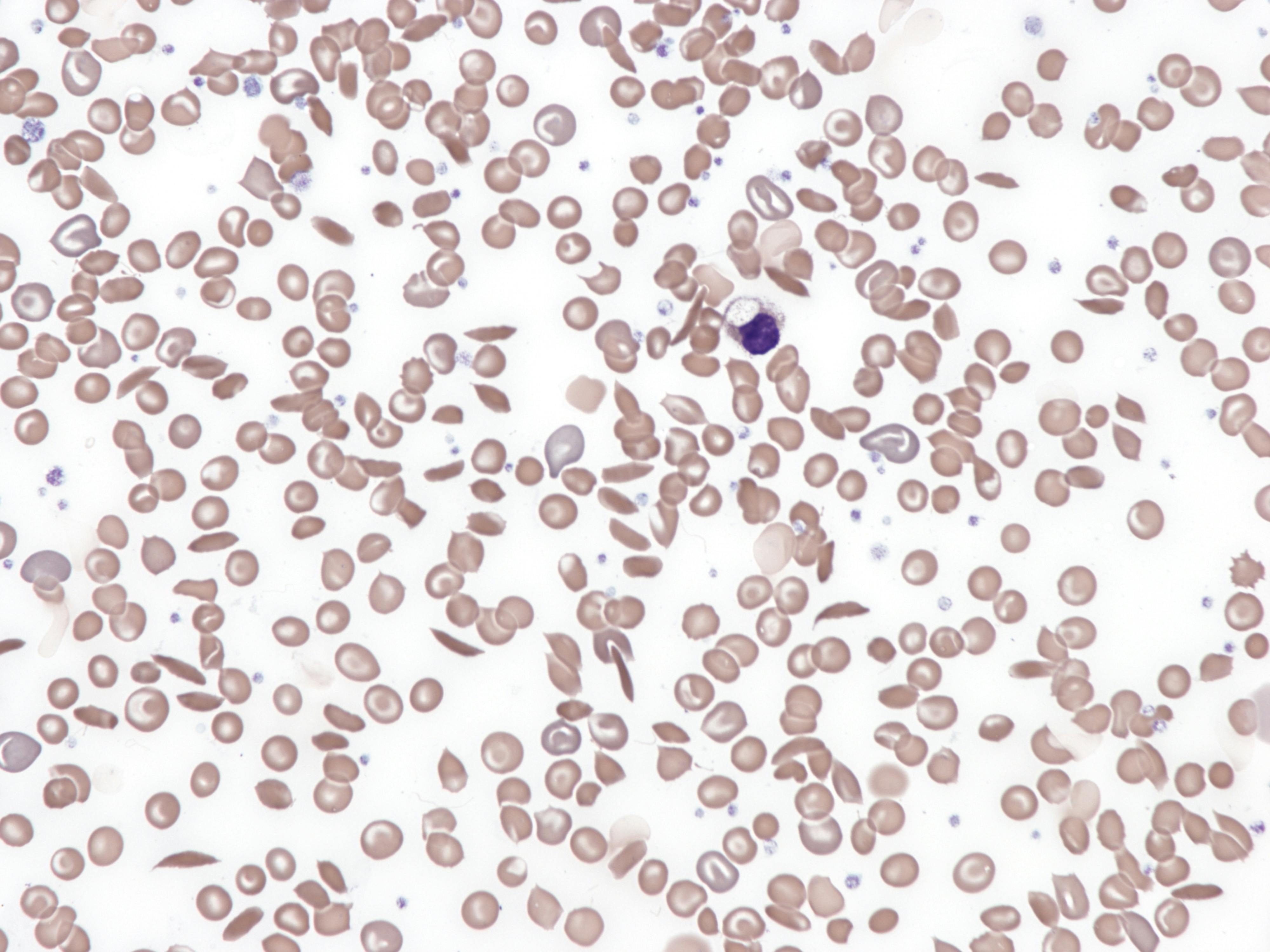 6696cc579ff2521da2b8c6a2 Dreamstime Xxl 305554952