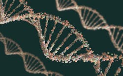 669fcd4ae4b4b8e6d8c0cd2e Dreamstime Xxl 44896137 1 669fcd4ae4b4b8e6d8c0cd2e Dreamstime Xxl 44896137 1