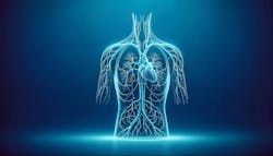 66a2585c06eca5f6fcf791e7 Dreamstime Xxl 312660420 66a2585c06eca5f6fcf791e7 Dreamstime Xxl 312660420