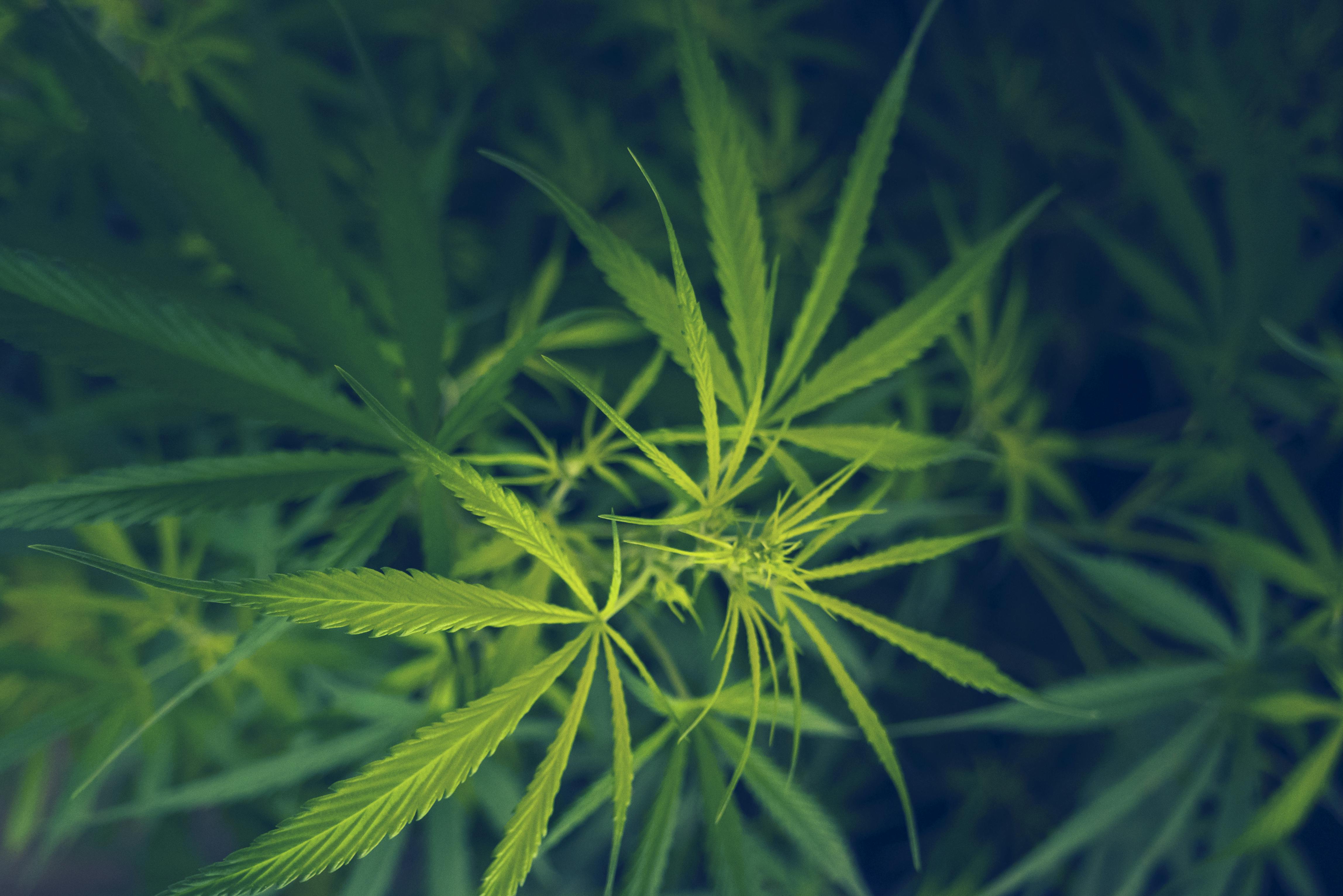 66a915fd82ab4173301835e2 Dreamstime Xxl 319785398