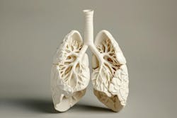 66b0e9efbafffa71eca69ec9 Dreamstime Xxl 308545817 66b0e9efbafffa71eca69ec9 Dreamstime Xxl 308545817