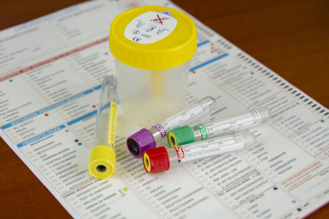 66b22670383767fe332ed140 Dreamstime Xxl 123238557