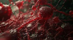 66b24bbe85b0ba0962e13fce Dreamstime Xxl 320255389 66b24bbe85b0ba0962e13fce Dreamstime Xxl 320255389