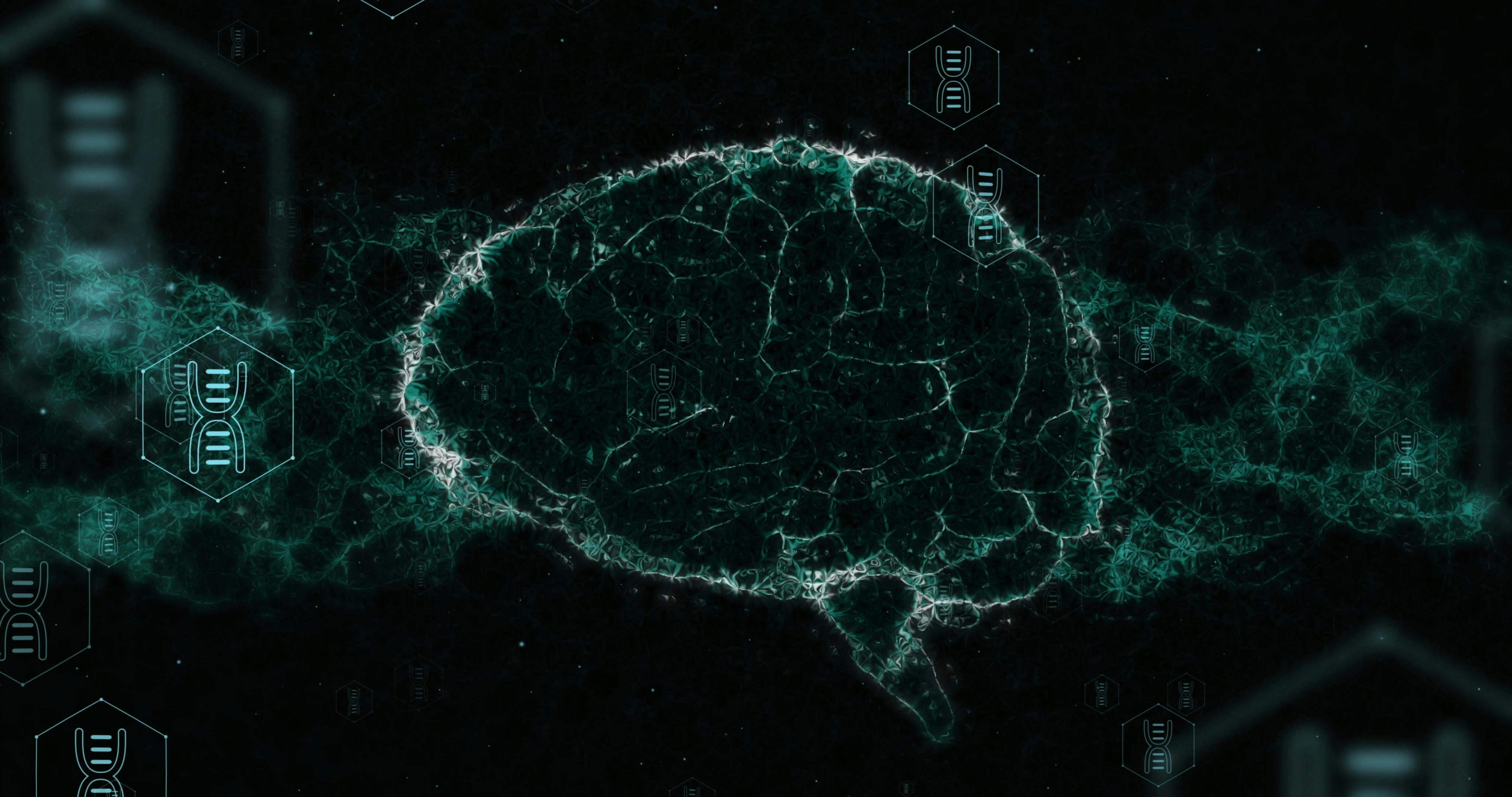 66b4d3c9decd55123dc7bbef Dreamstime Xxl 310752765 1