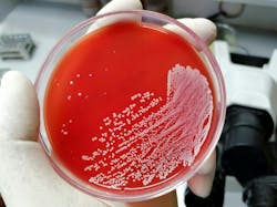 66bb718e6151bb5f5da8e322 Adobestock 482355351 66bb718e6151bb5f5da8e322 Adobestock 482355351