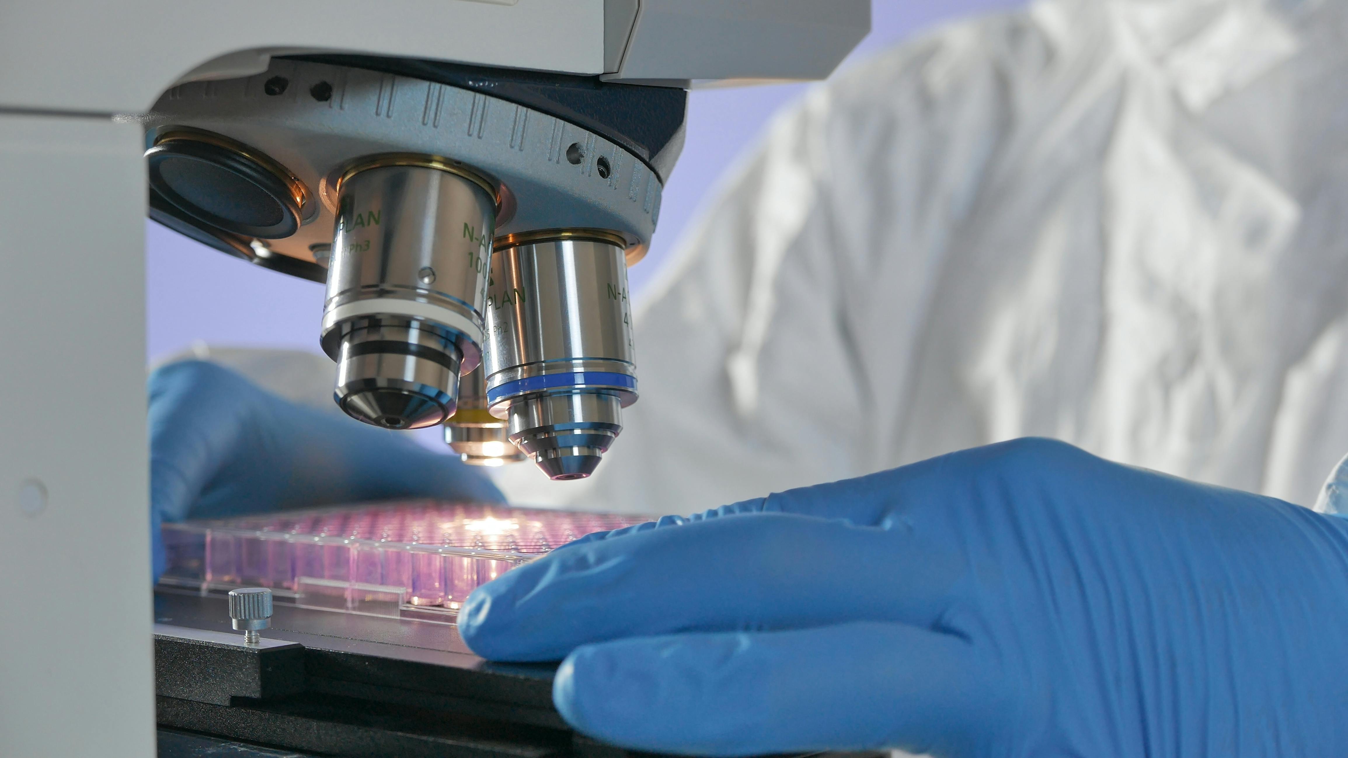 66bf61894f675806295e8fa9 Dreamstime Xxl 144586305