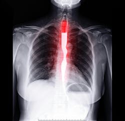 66bf664cb1a60503adedc50b Dreamstime Xxl 161522023 66bf664cb1a60503adedc50b Dreamstime Xxl 161522023