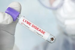 66c3615e1c4b392dfef4c4aa Dreamstime Xxl 181887809 66c3615e1c4b392dfef4c4aa Dreamstime Xxl 181887809