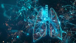 66c896fce50e86014411607d Dreamstime Xxl 317085305 66c896fce50e86014411607d Dreamstime Xxl 317085305