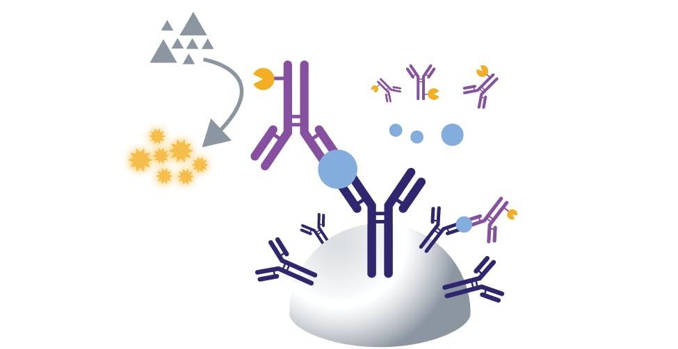 66c89f92ea2a32d39b810957 2410mlo1215 Clinicalissues