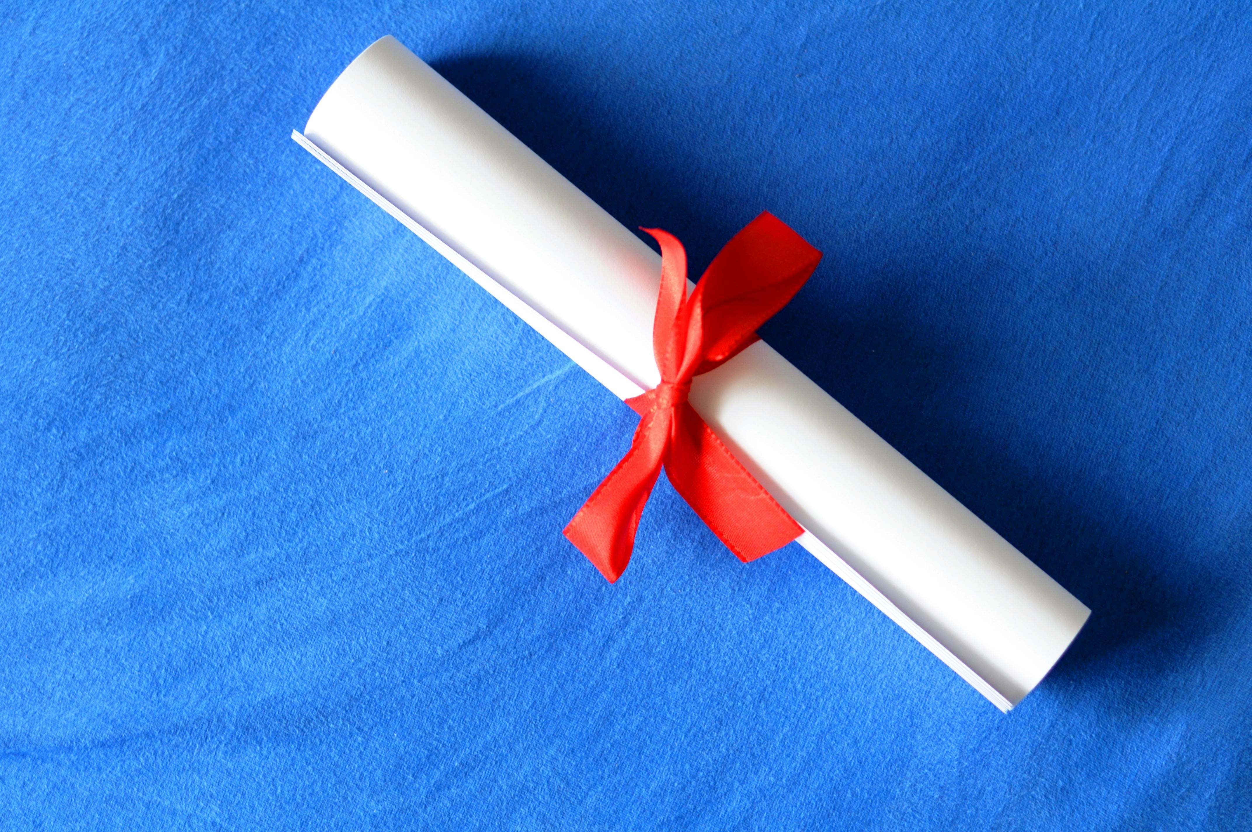 66cf368b181d1973a39a534b Dreamstime Xxl 14489152