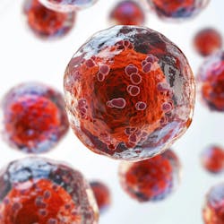 66cf3786666295d517e24204 Dreamstime Xxl 321865179 66cf3786666295d517e24204 Dreamstime Xxl 321865179