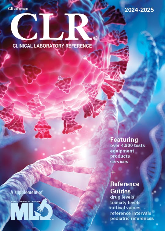 2024-2025 cover image