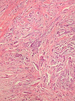 66d8682a87ceea0c6987dc54 Dreamstime Xxl 4873583 66d8682a87ceea0c6987dc54 Dreamstime Xxl 4873583