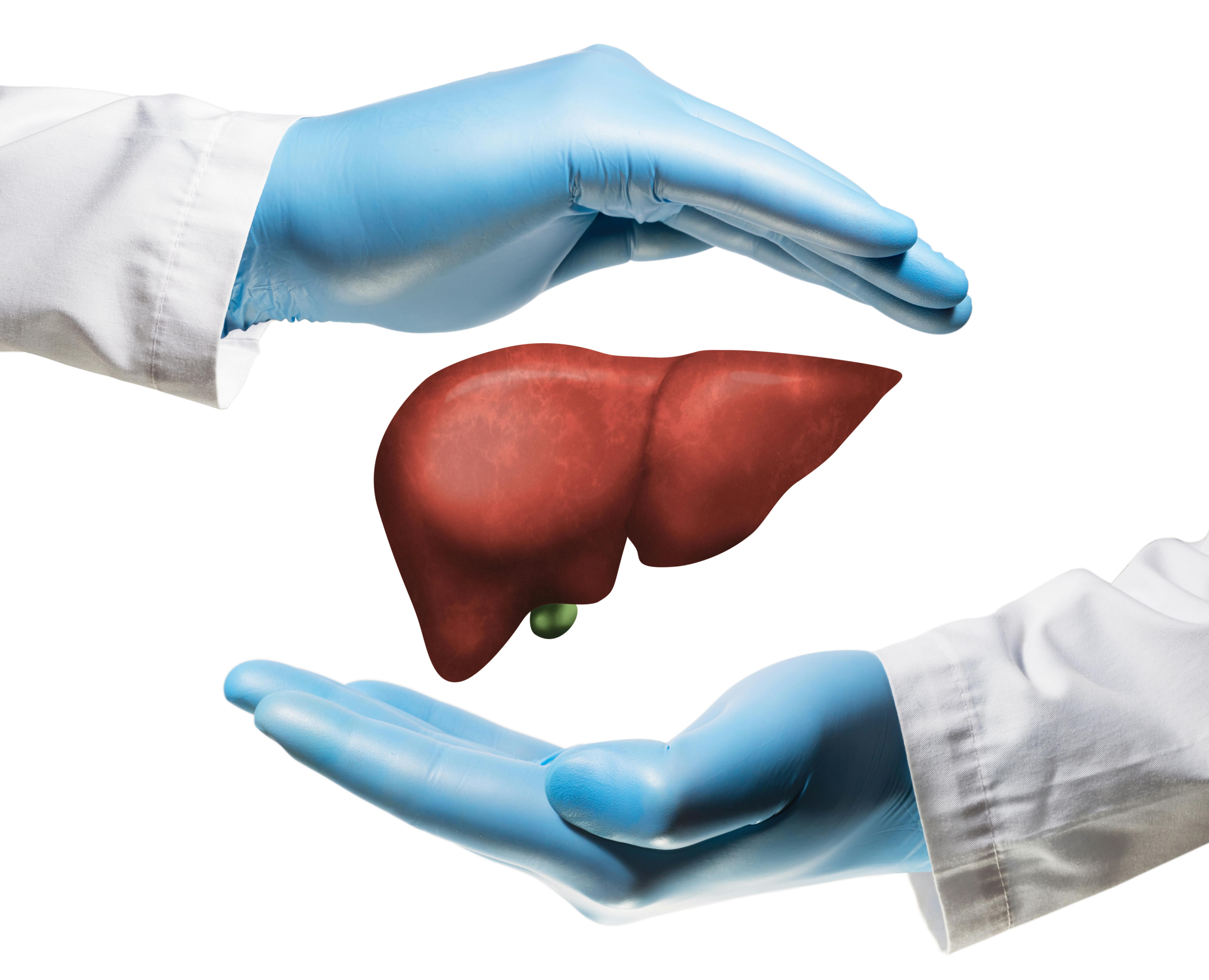 66d9be15674d262a380c0ada Dreamstime Xxl 191832778