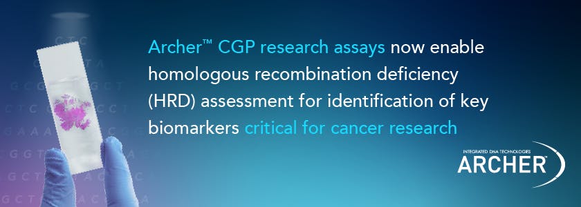 66db13038c3af33c7773a4bb 24ngprarcherhrdassessmentlaunchidtnewspage 840x300