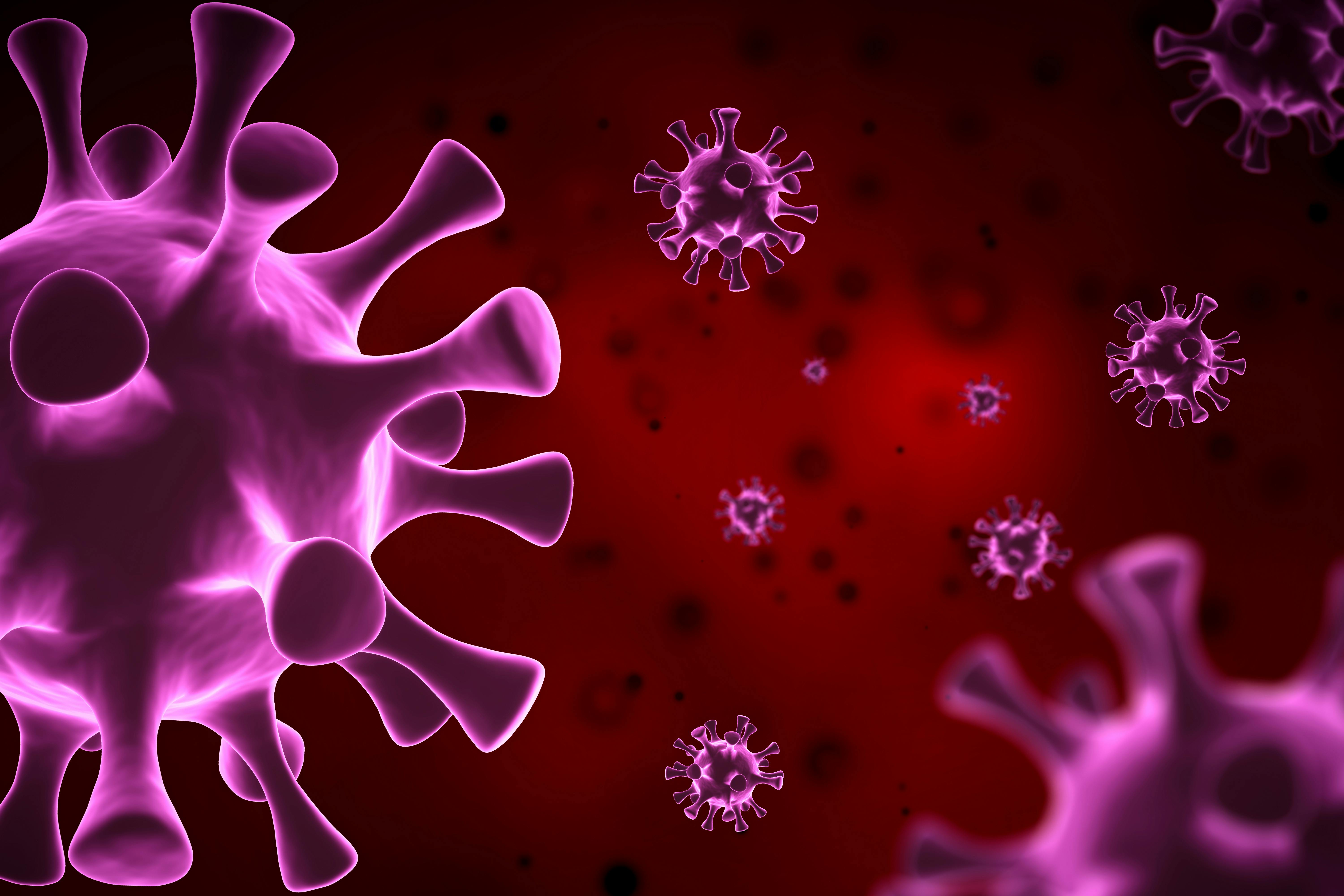 66e05da2d0f310da2ba1cef3 Dreamstime Xxl 177520808