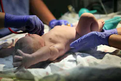 66e1b172b4709f926f26bded Dreamstime Xxl 58438926 66e1b172b4709f926f26bded Dreamstime Xxl 58438926