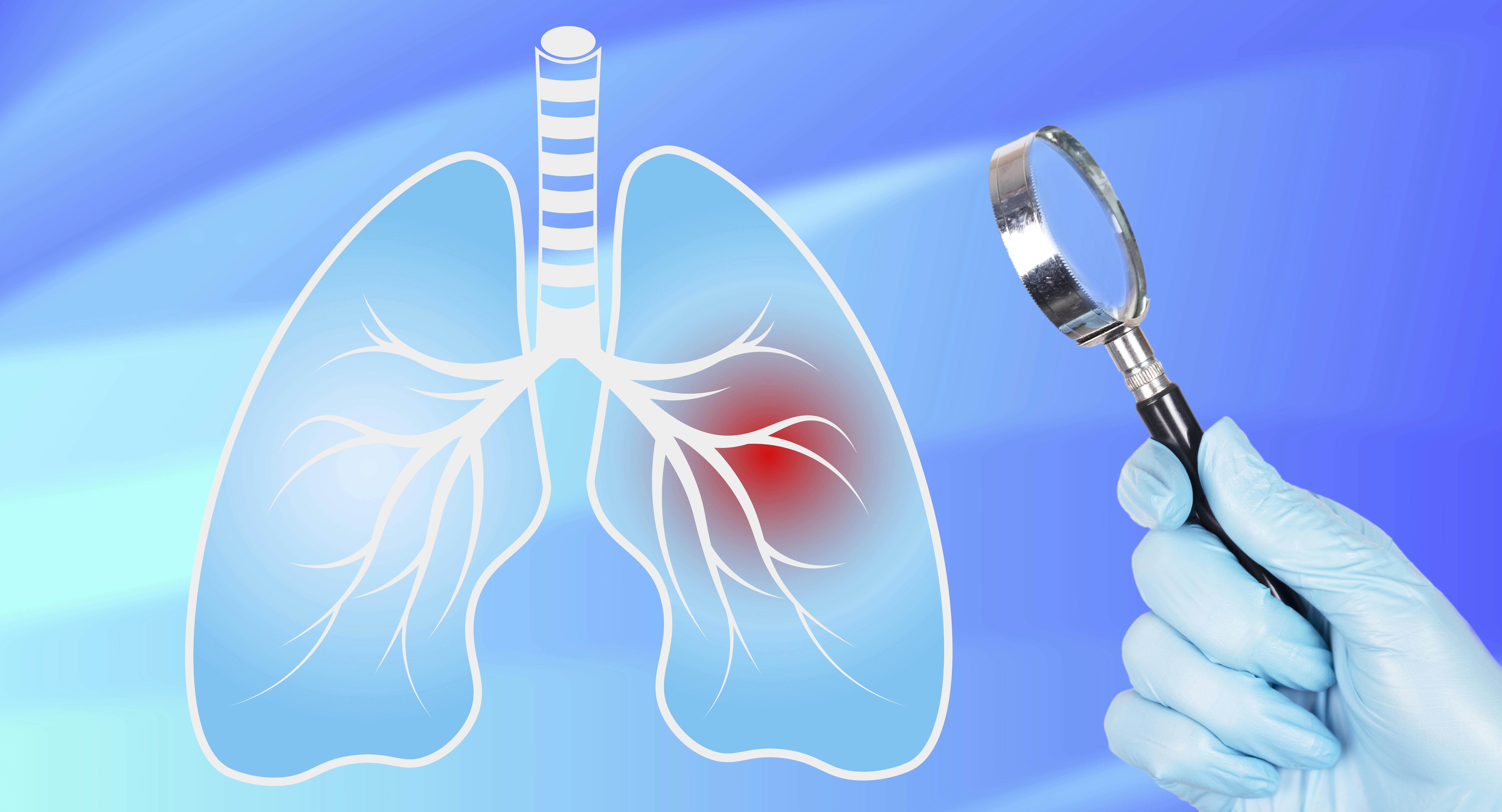 66e2fcc409e8ce6caadcac14 Dreamstime Xxl 273408116