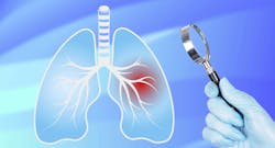 66e2fcc409e8ce6caadcac14 Dreamstime Xxl 273408116 66e2fcc409e8ce6caadcac14 Dreamstime Xxl 273408116