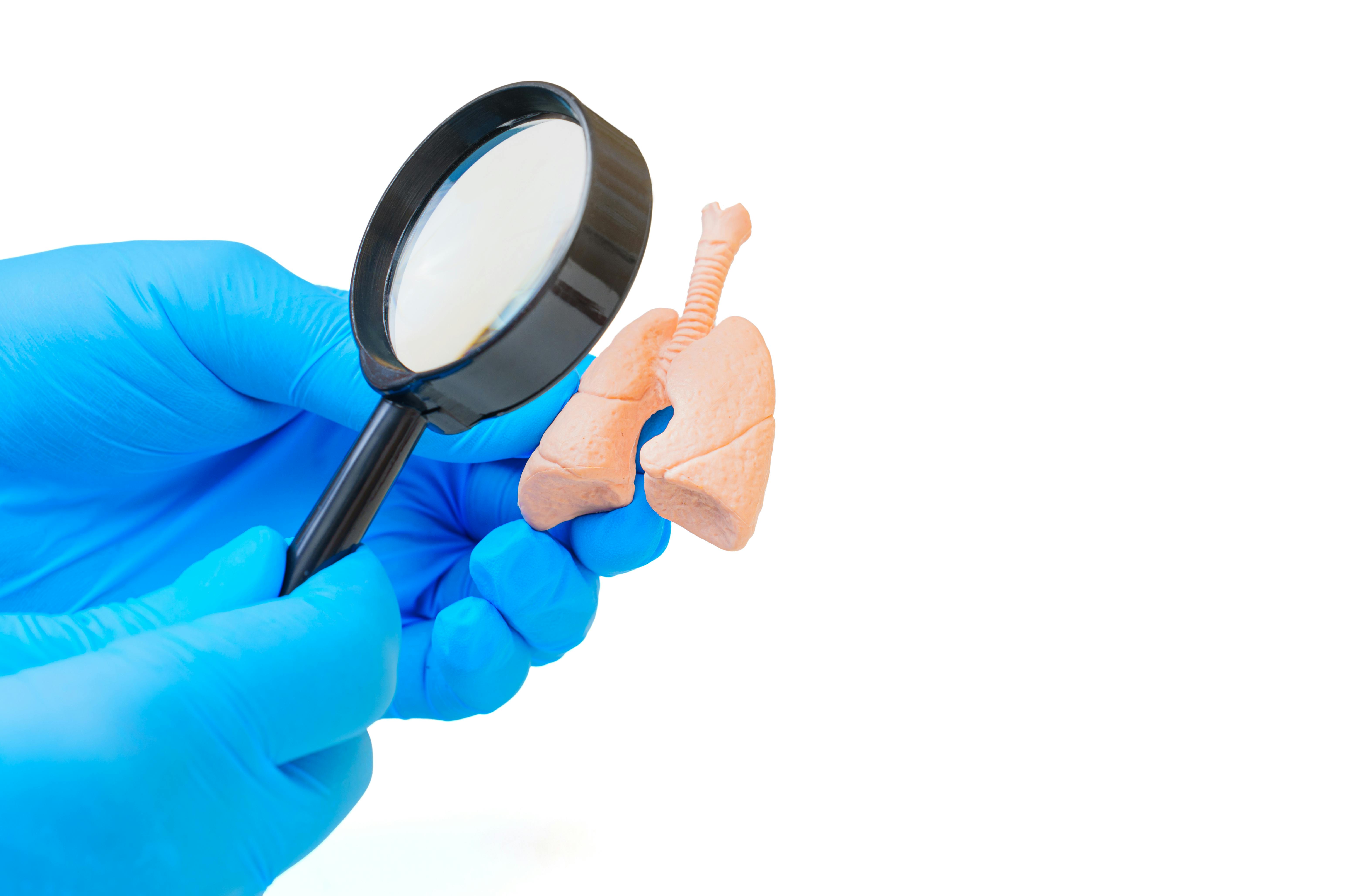 66ec40830529c95af3ea01e9 Dreamstime Xxl 327953071