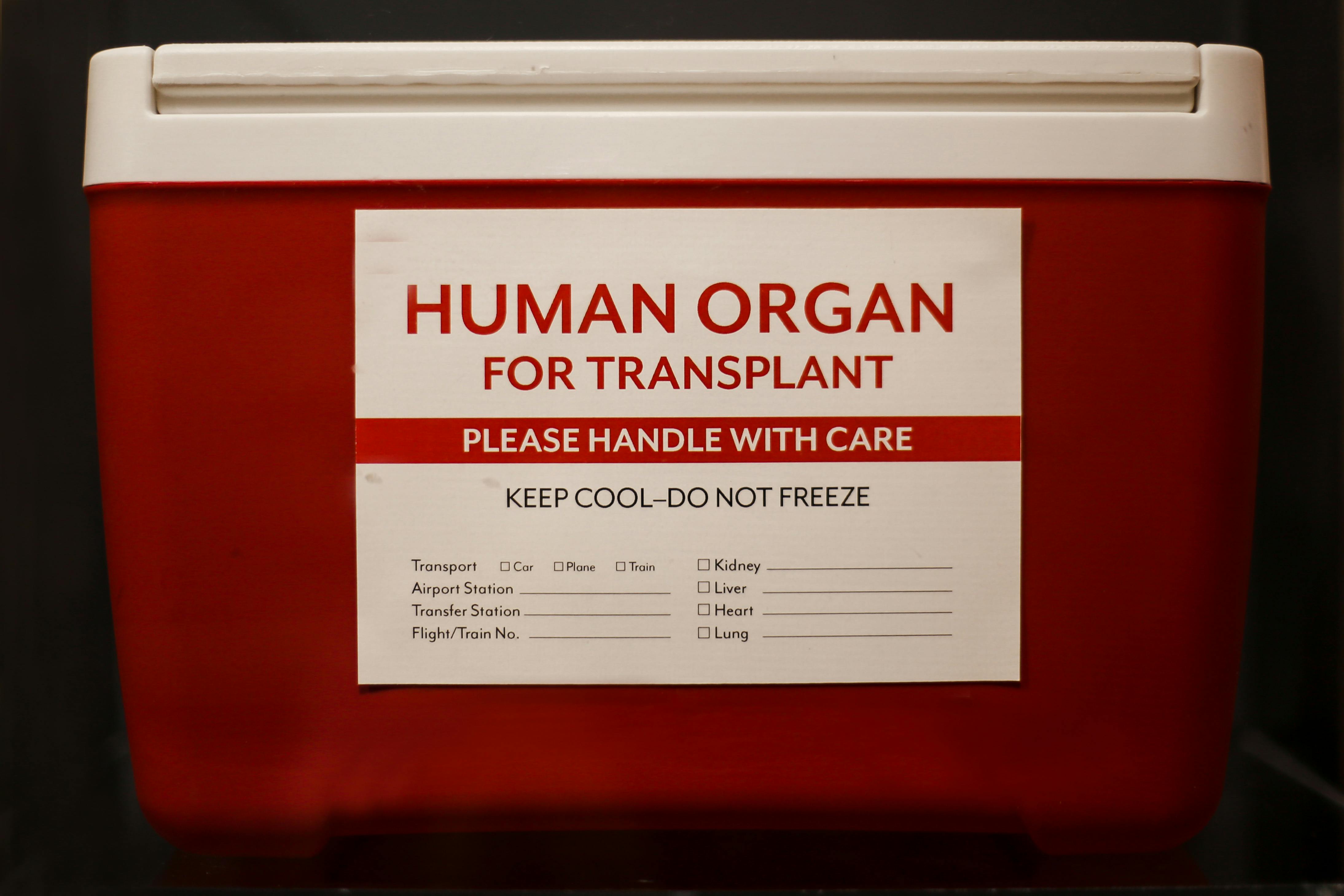 66ed80ec71ad40fbfca0aa12 Dreamstime Xxl 79060266