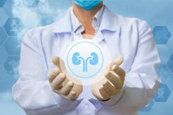 66f17c7cb148746ef235b752 Dreamstime Xxl 97242964 66f17c7cb148746ef235b752 Dreamstime Xxl 97242964