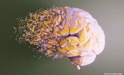 mlo_neuroebookimage_0924 mlo_neuroebookimage_0924