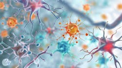 66f6c4ab54b3c61c13e9926a Dreamstime Xxl 326501033 66f6c4ab54b3c61c13e9926a Dreamstime Xxl 326501033