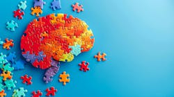 66faac4ff6e11f9fff5a118c Dreamstime Xxl 316275145 66faac4ff6e11f9fff5a118c Dreamstime Xxl 316275145