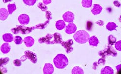 66fc0e2e6565c4cdf93865e9 Dreamstime Xxl 86265051 66fc0e2e6565c4cdf93865e9 Dreamstime Xxl 86265051