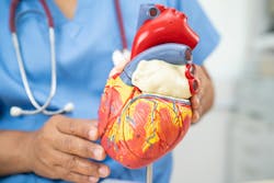 67125a09fa1448463f61eec9 Dreamstime Xxl 338457613 67125a09fa1448463f61eec9 Dreamstime Xxl 338457613