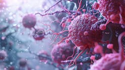 dreamstime_xxl_332801653 dreamstime_xxl_332801653