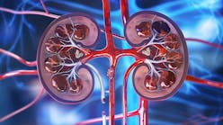 dreamstime_xxl_338975729 dreamstime_xxl_338975729