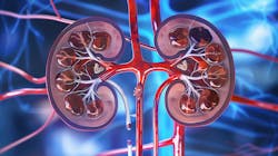 6720e5cdd25b6922acf2f656 Dreamstime Xxl 338975729 6720e5cdd25b6922acf2f656 Dreamstime Xxl 338975729