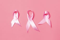 6724e1571d4a7185eb16d880 Dreamstime Xxl 248432882 6724e1571d4a7185eb16d880 Dreamstime Xxl 248432882