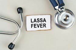 6728e4dc92de14f96f3ffb51 Dreamstime Xxl 259301650 6728e4dc92de14f96f3ffb51 Dreamstime Xxl 259301650