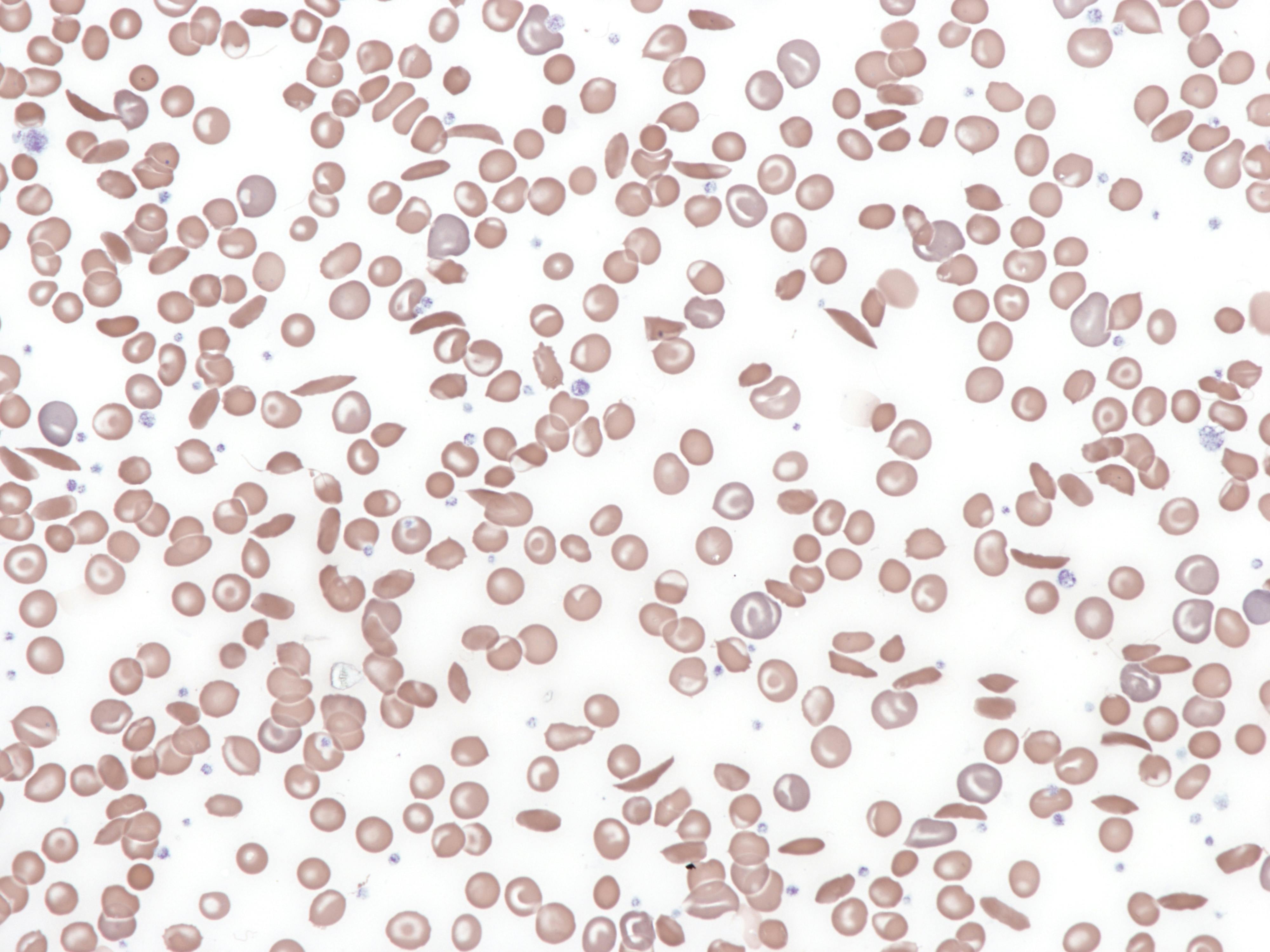 672a2cecc9dd02128ab5938c Dreamstime Xxl 319586066