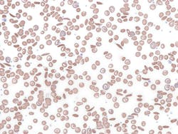 672a2cecc9dd02128ab5938c Dreamstime Xxl 319586066 672a2cecc9dd02128ab5938c Dreamstime Xxl 319586066