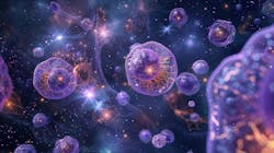 672e6ccf207215993c6809d9 Dreamstime Xxl 320261498 672e6ccf207215993c6809d9 Dreamstime Xxl 320261498