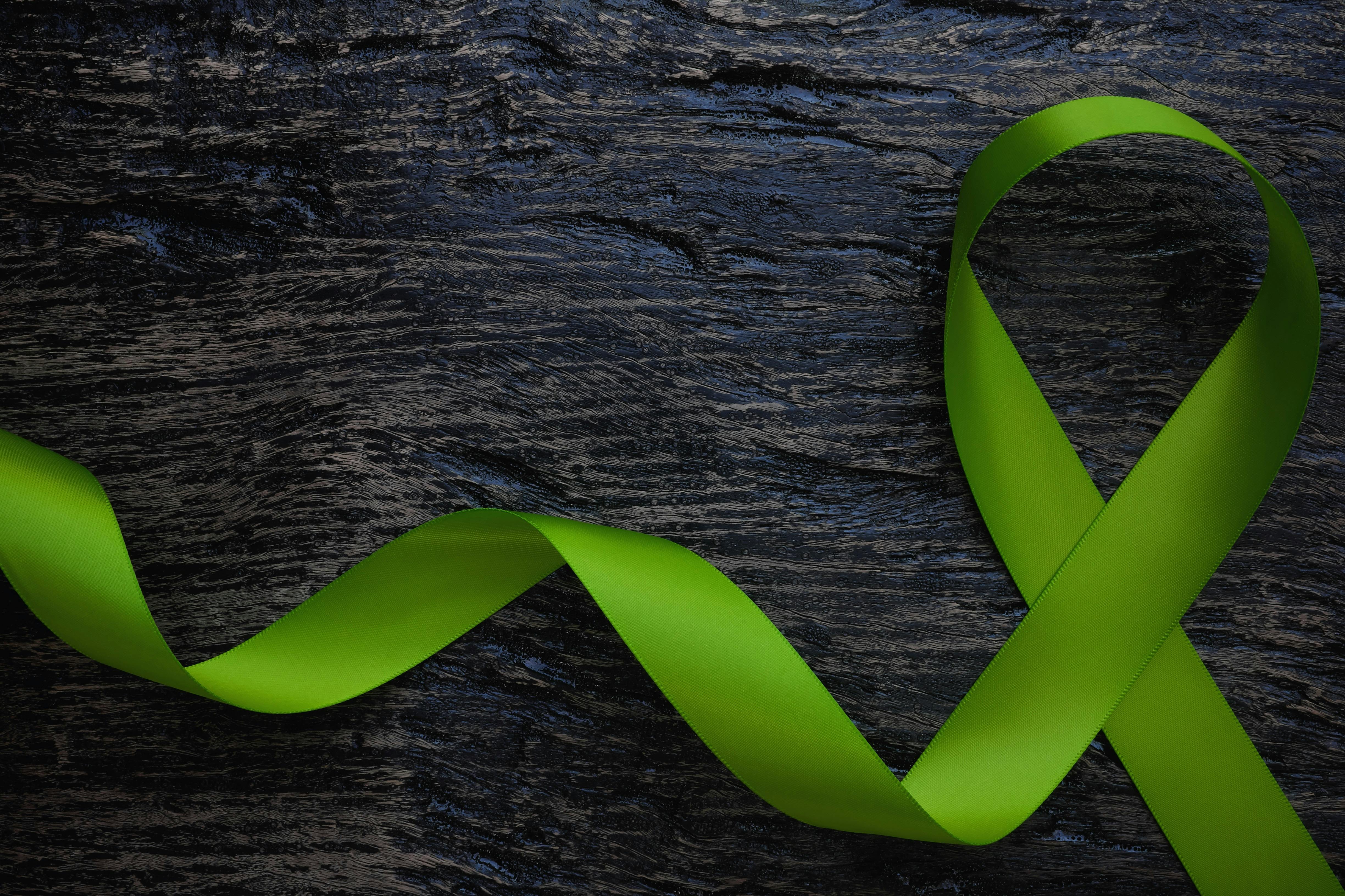 674497a6676f256f720ee892 Dreamstime Xxl 204969634