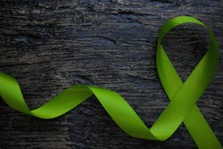 674497a6676f256f720ee892 Dreamstime Xxl 204969634 674497a6676f256f720ee892 Dreamstime Xxl 204969634