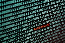 67449bf77e5ffe29c97dbc8d Dreamstime Xxl 132877885 67449bf77e5ffe29c97dbc8d Dreamstime Xxl 132877885