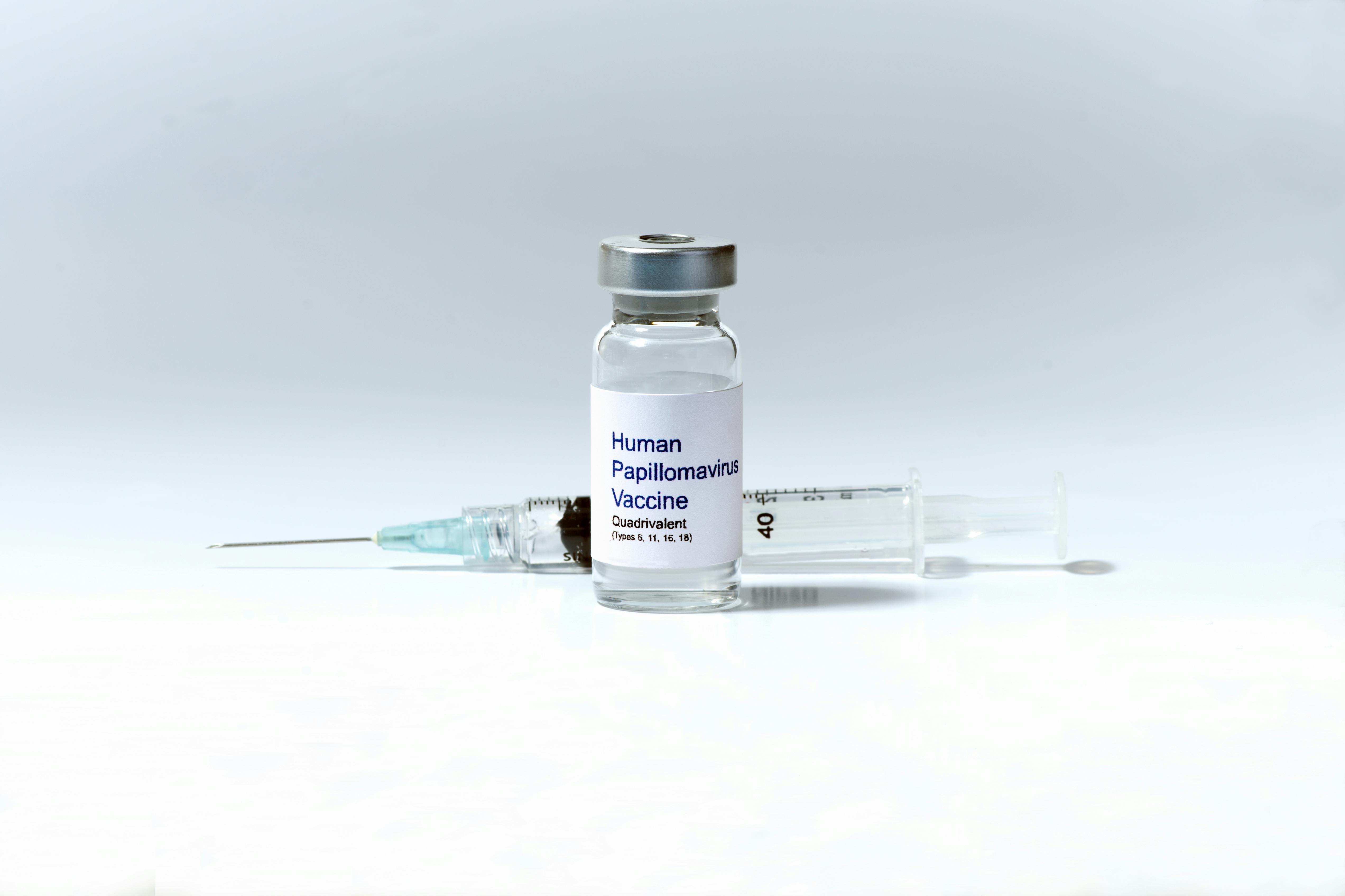 6745ef873ccde95e8b13c523 Dreamstime Xxl 45672565