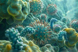 674f1d4fe50dee514da6ca35 Dreamstime Xxl 335772838 674f1d4fe50dee514da6ca35 Dreamstime Xxl 335772838