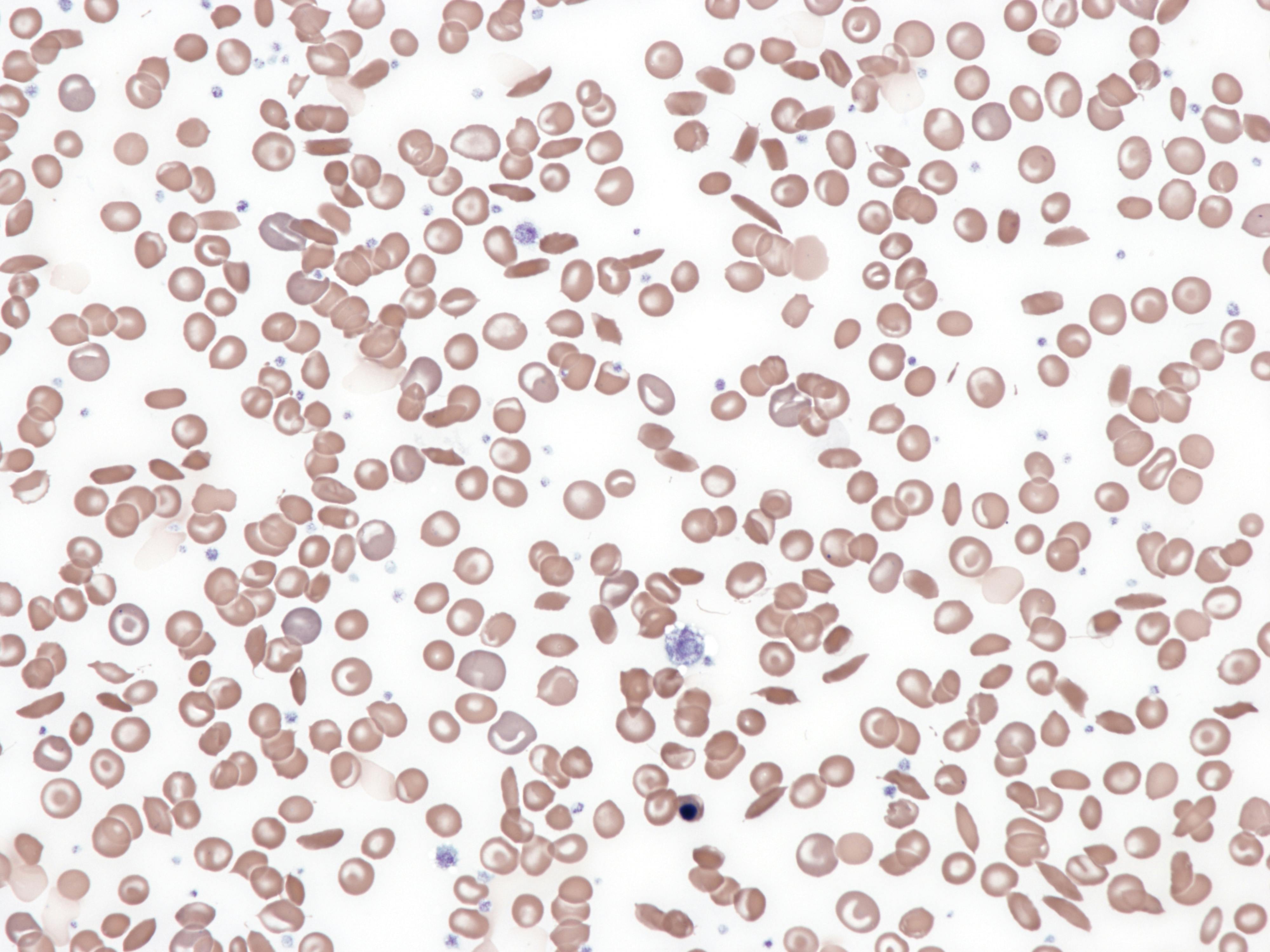 6751c258c99d4d590edf4c6f Dreamstime Xxl 326783302