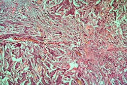 675b0430e8feeccbe51cd995 Dreamstime Xxl 196738515 675b0430e8feeccbe51cd995 Dreamstime Xxl 196738515