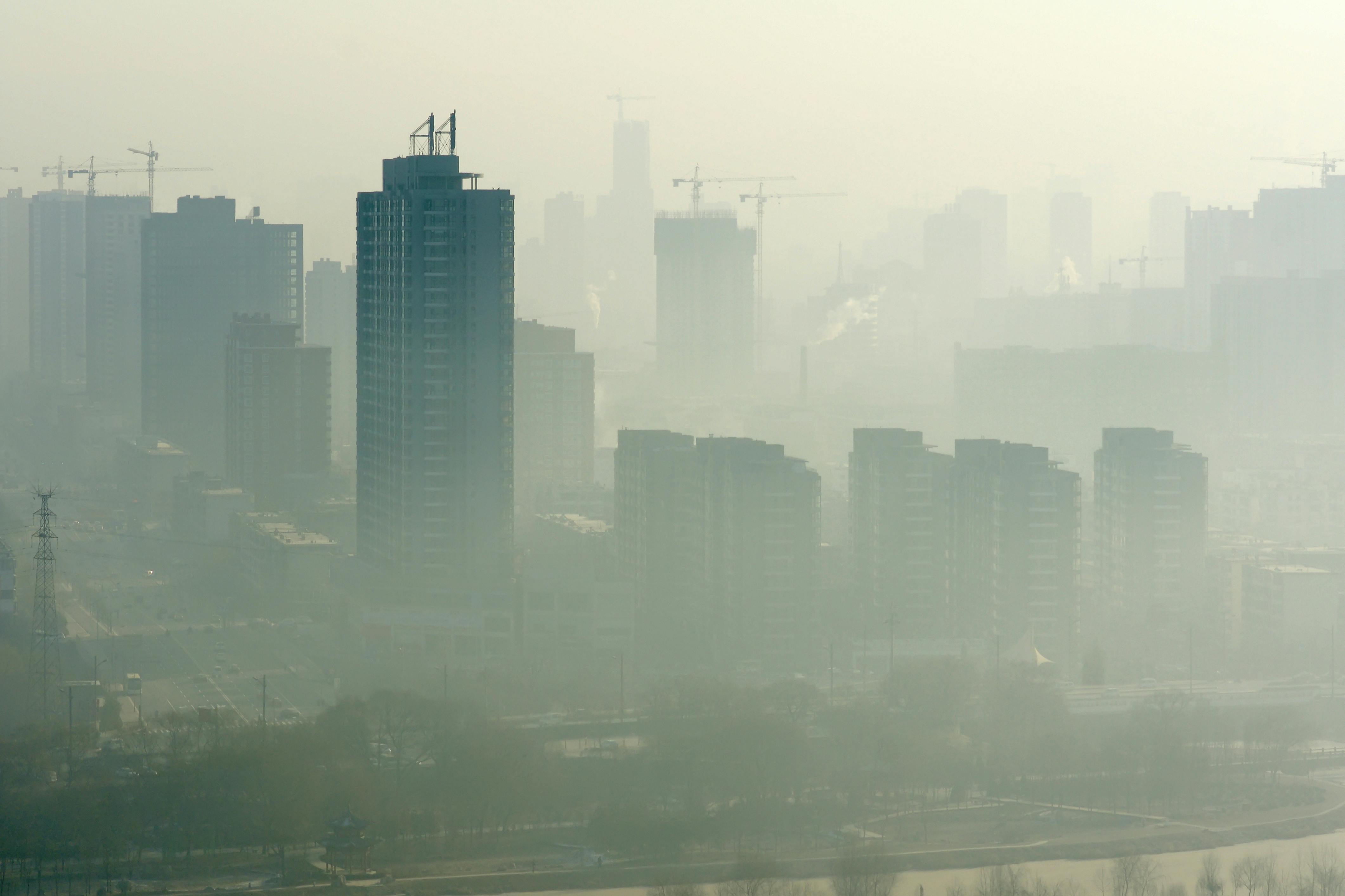 675c587c6ff43a5b3b3272a4 Dreamstime Xxl 22553969