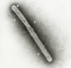 67643e239e039d3fc0c16bab 8036 67643e239e039d3fc0c16bab 8036