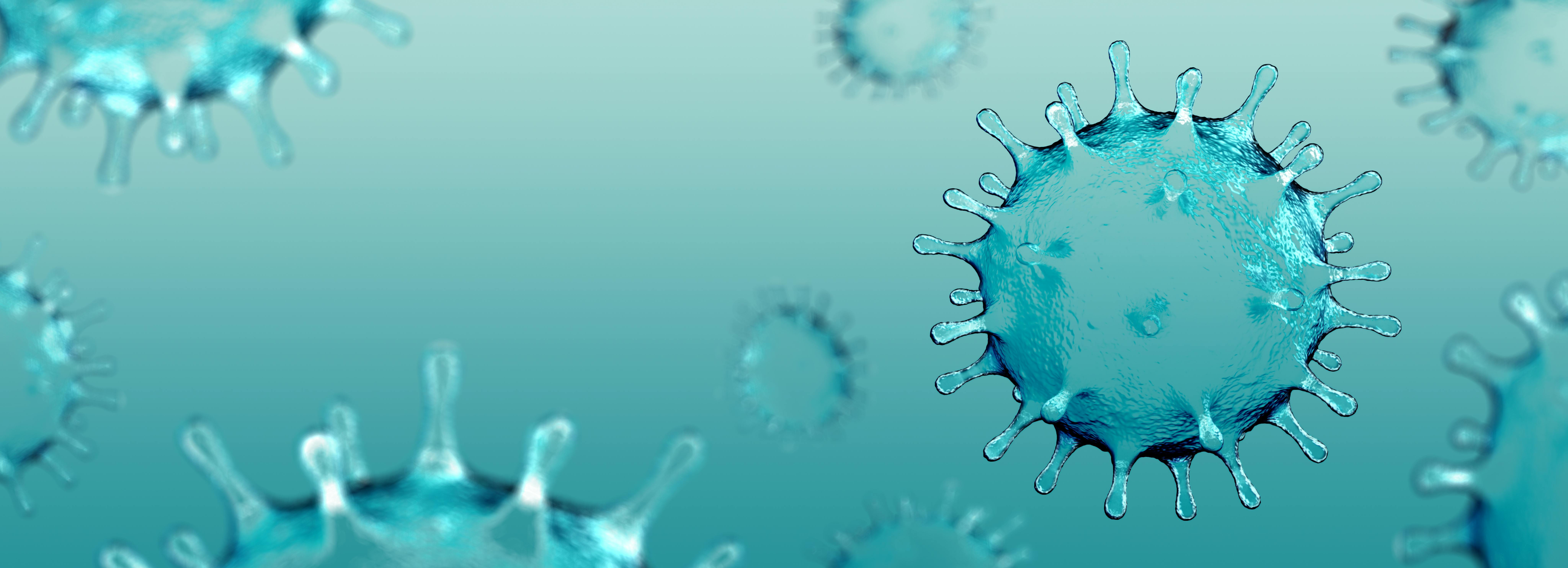 6769c77ec025399ebfff07b8 Dreamstime Xxl 181072628